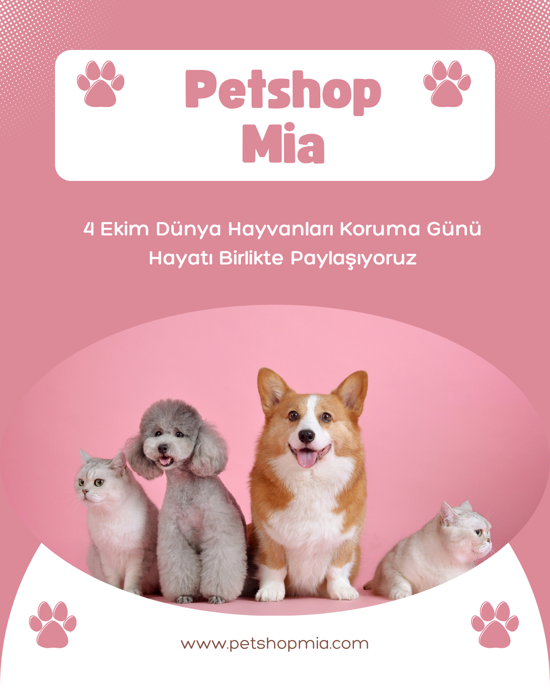 Petshop Mia